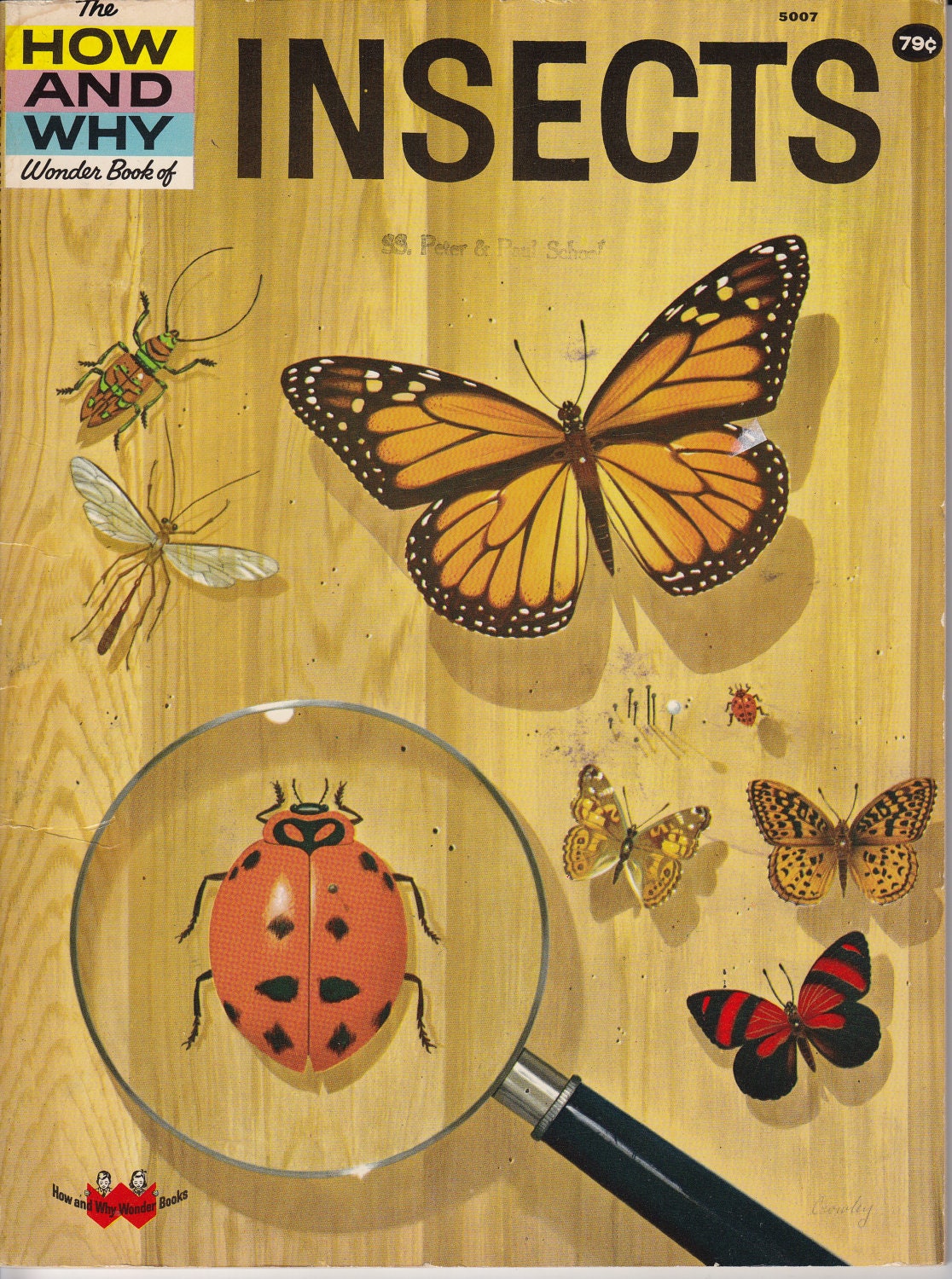 Vintage Childrens Book: The How and Why Wonder Book of Insects