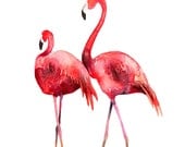 Flamingos Bird Watercolor Illustration Print Pink Red Brown Feather Nature