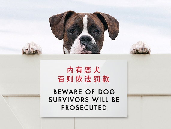 Funny Sign Fail. Chinglish Humor. Survivors will be Prosecuted