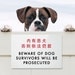 Funny Sign Fail. Chinglish Humor. Survivors will be Prosecuted
