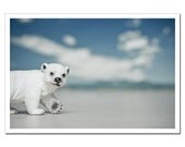 Nursery Decor, Polar Bear Arctic Print, Kids Room, Still Life Photography, Icy blue, Big dipper Constellation 8x12