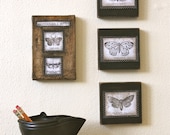 Butterfly Moth Original Art Decoupage on Wood Blocks