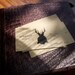 500 Custom Vintage Business Cards Printed on Recycled Kraft Card Stock - Double Sided