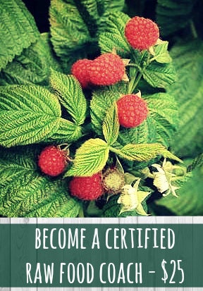 Certification: Certified Raw Food Coach