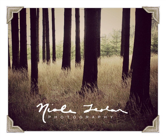 Custom Signature Logo, Custom Logo of Your Signature, Your Name into a Logo
