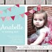 First Birthday Invitation Bunting Flags Banner Photo Printable Invite - Pink and Brown - 1 Year Old or 2 Year Old - Second Birthday