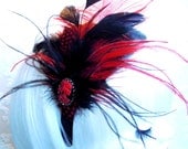 hairband unique head dress head piece hair jewelry feathers skull cameo black, red