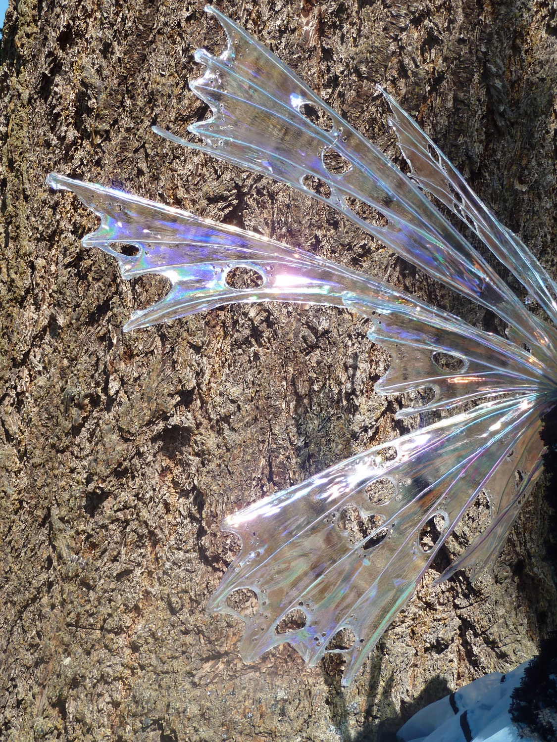 Custom order Real Fairy Wings