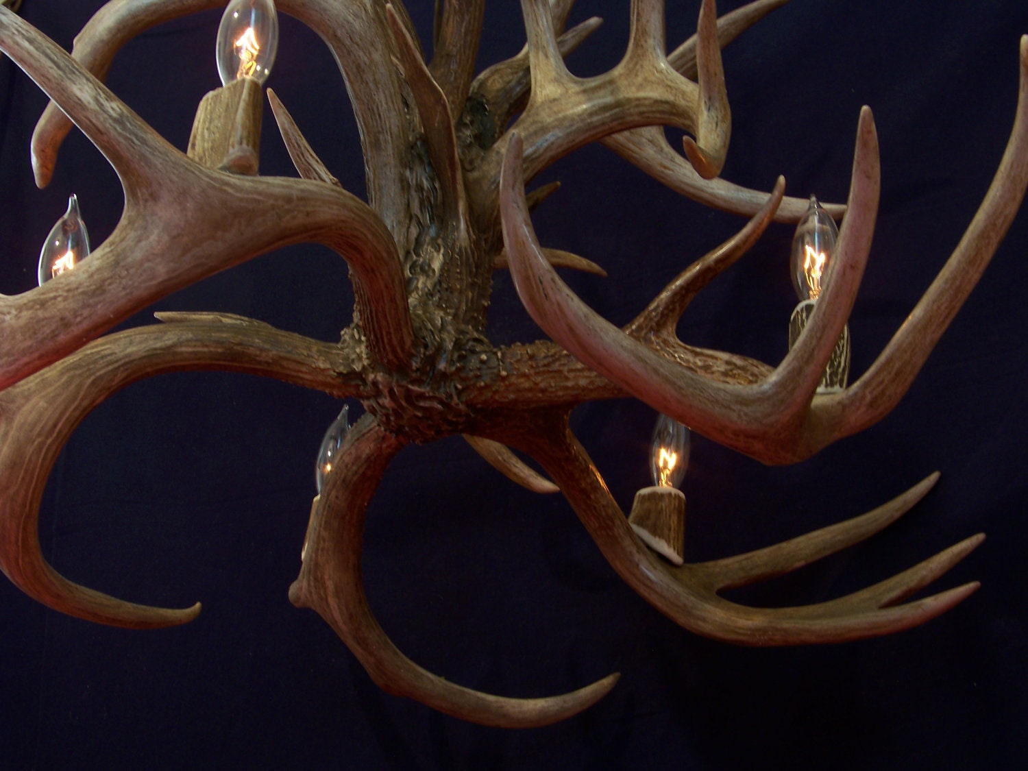 Legend Antler Designs "Fountain" Whitetail Deer Antler Chandelier Light Lamp Fixture