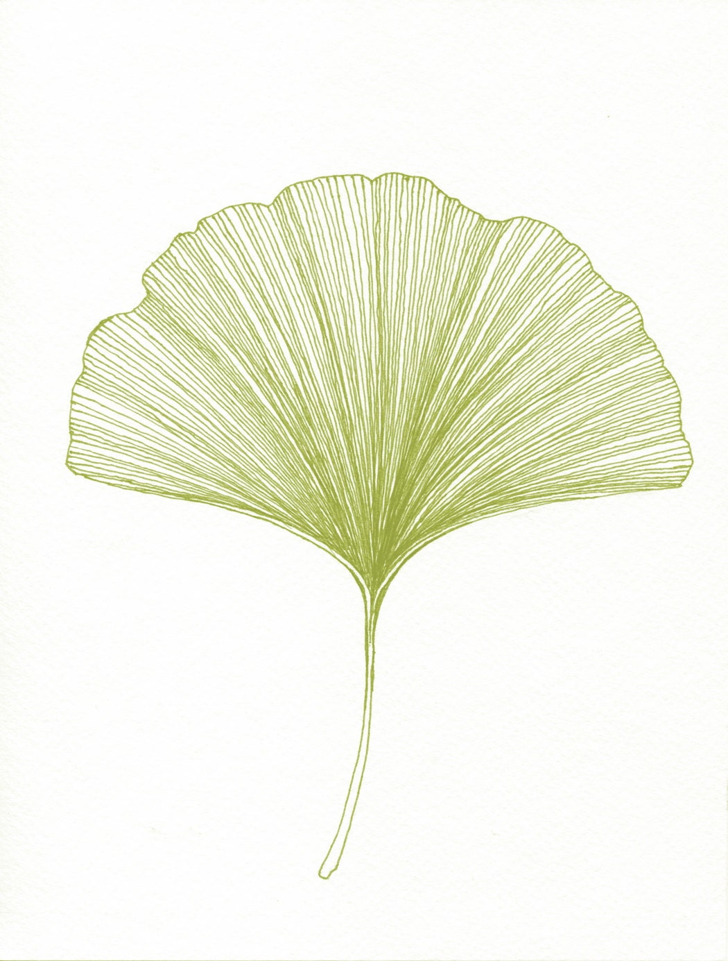 Ginkgo Leaf Print of original Black or Green Pen and Ink Drawing