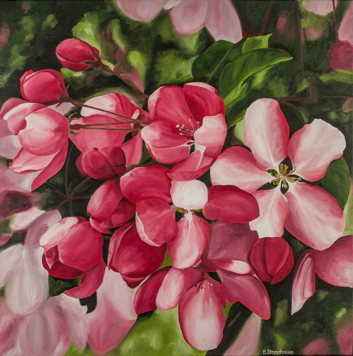 Limited Edition Print - In the Pink