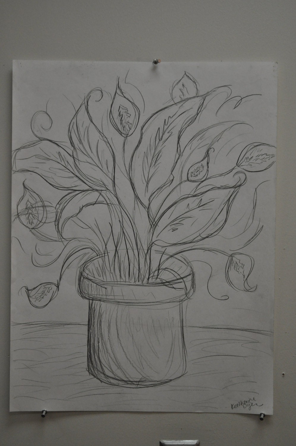 Potted Plant Drawing