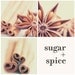 kitchen art, Sugar & Spice print set. star anise cinnamon sticks photograph, rustic holiday baking, hostess gift, cozy comfort food under 25