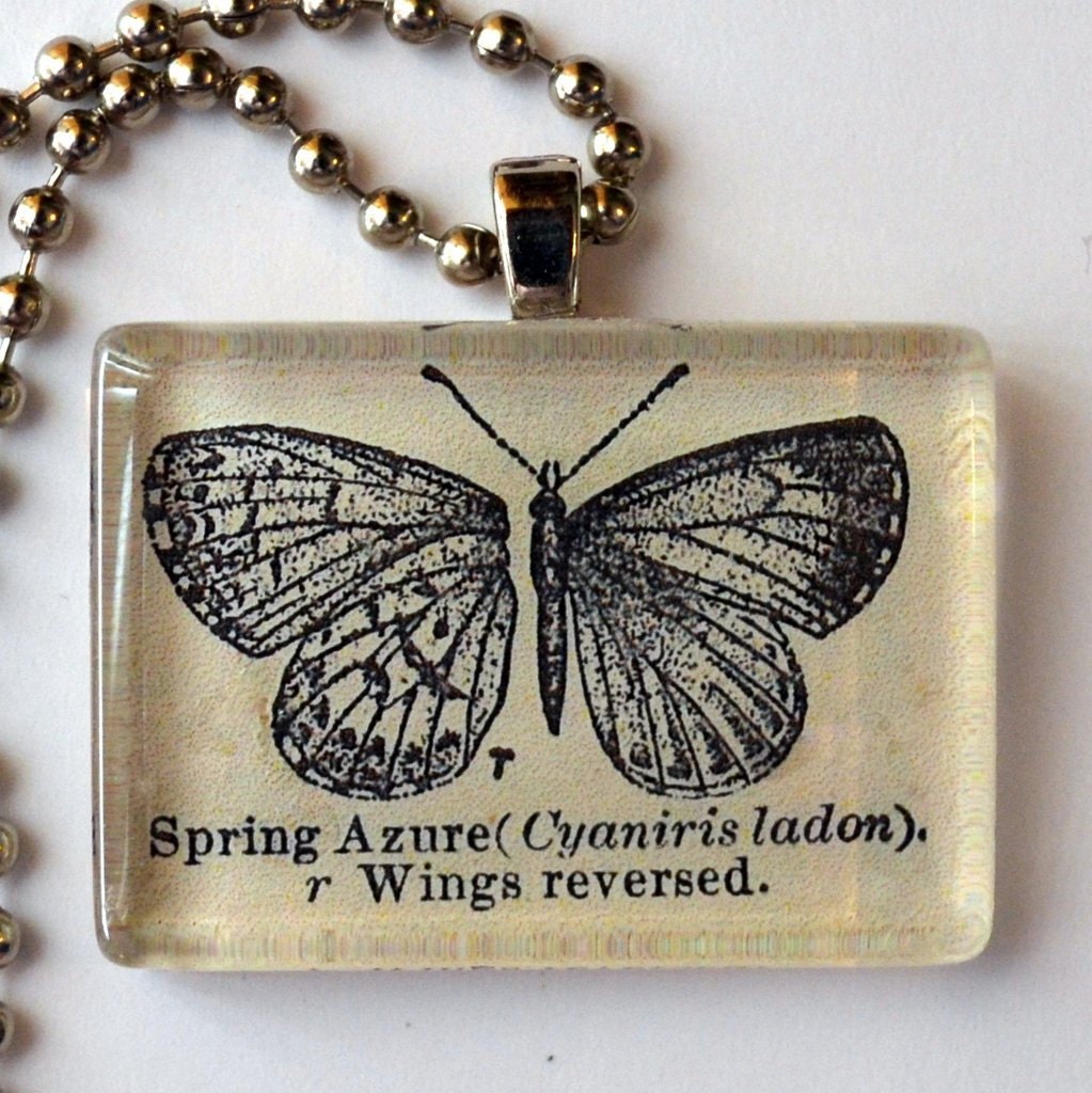 Spring Azure Dictionary Illustration Pendant
