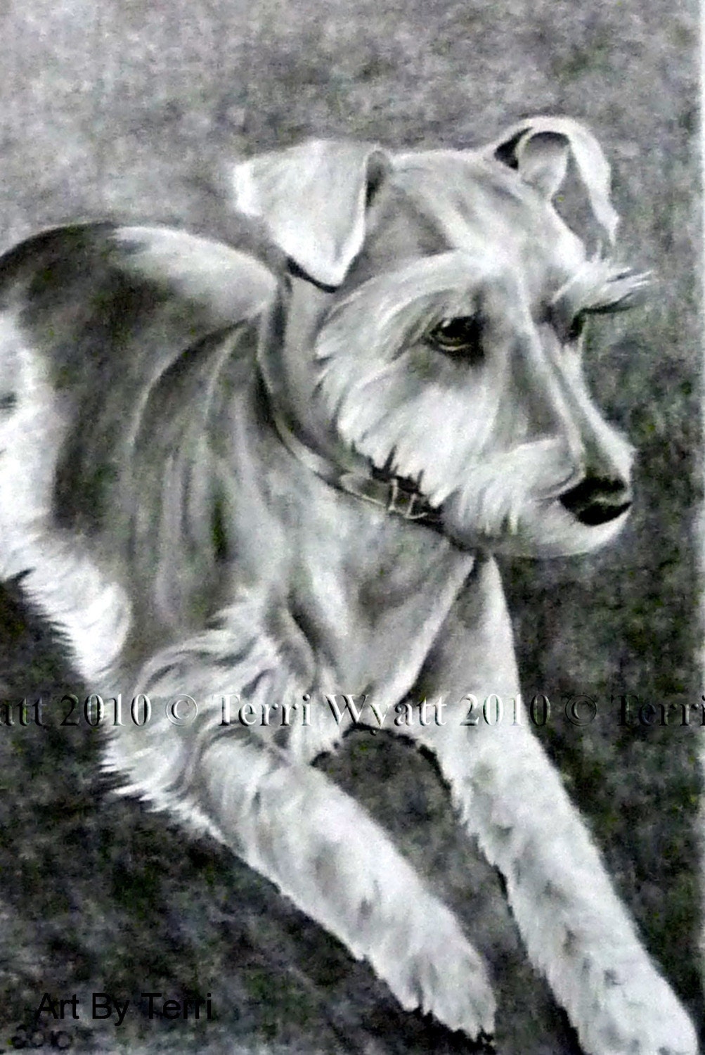 8x10 Custom Pet Portrait - Original Drawing From Your Photo