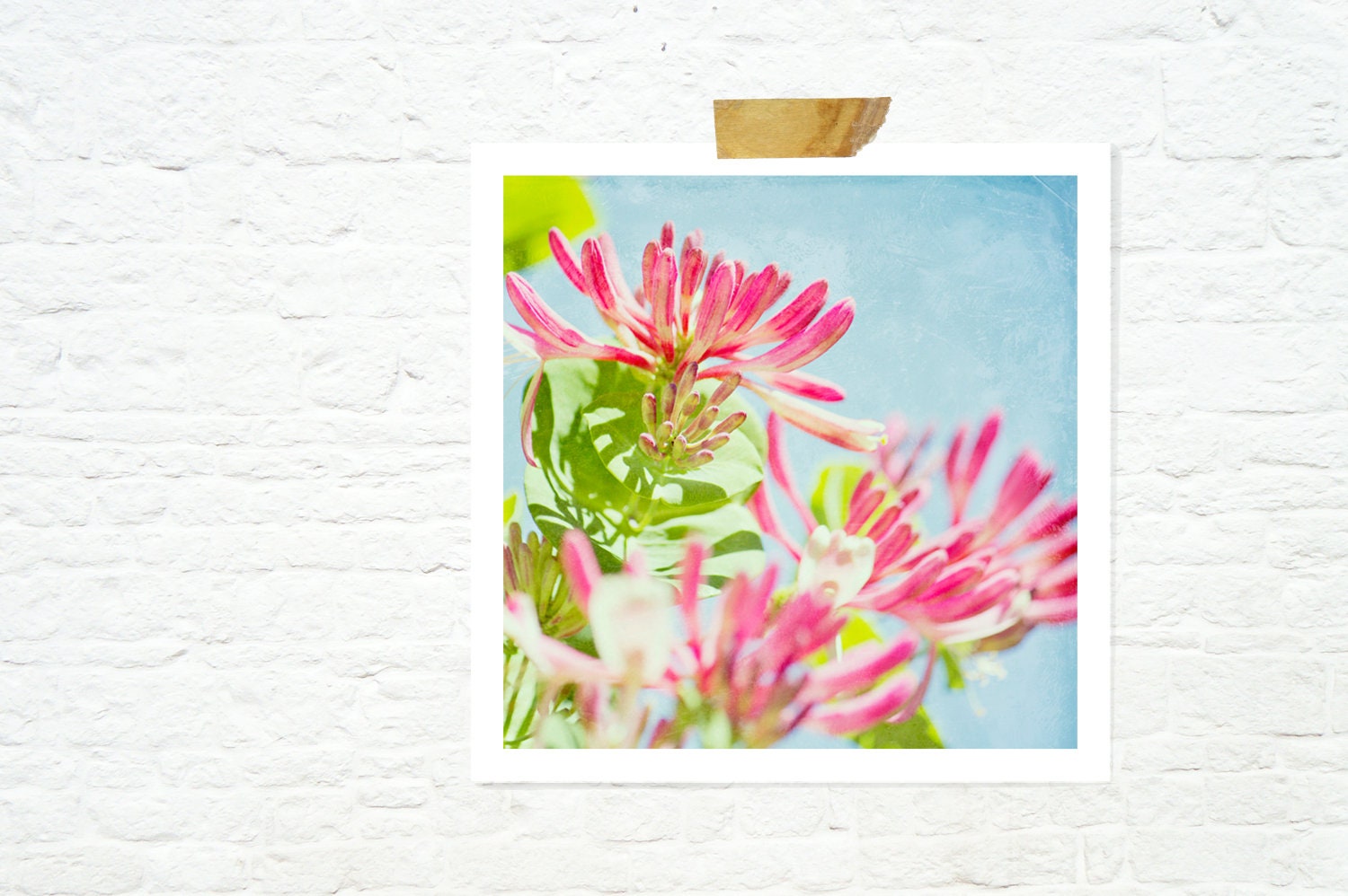 summer botanical print garden home decor vibrant pink blue green - Honeysuckle