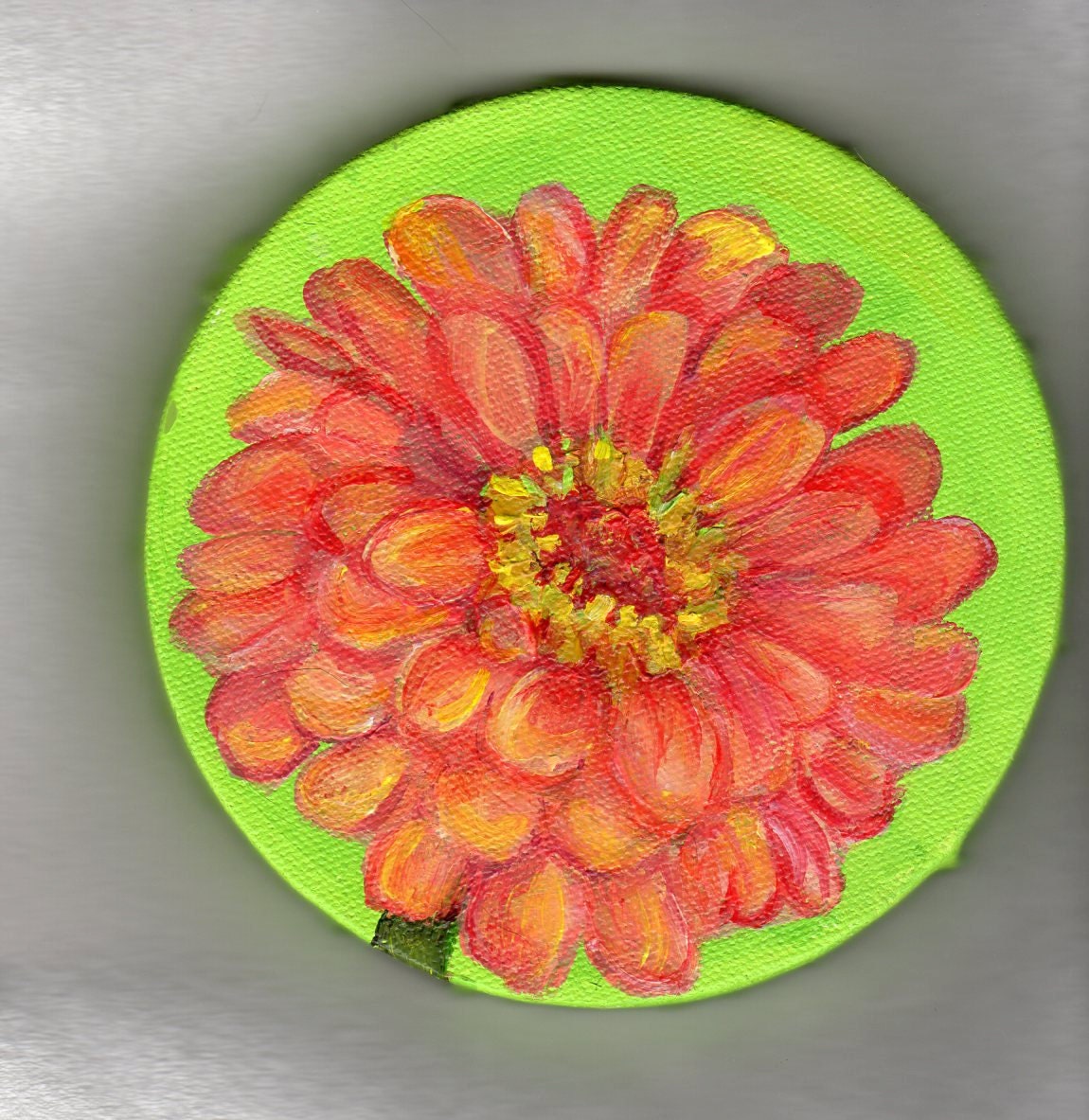 Coral Zinnia