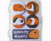 Guinea Pigs Magnet Set
