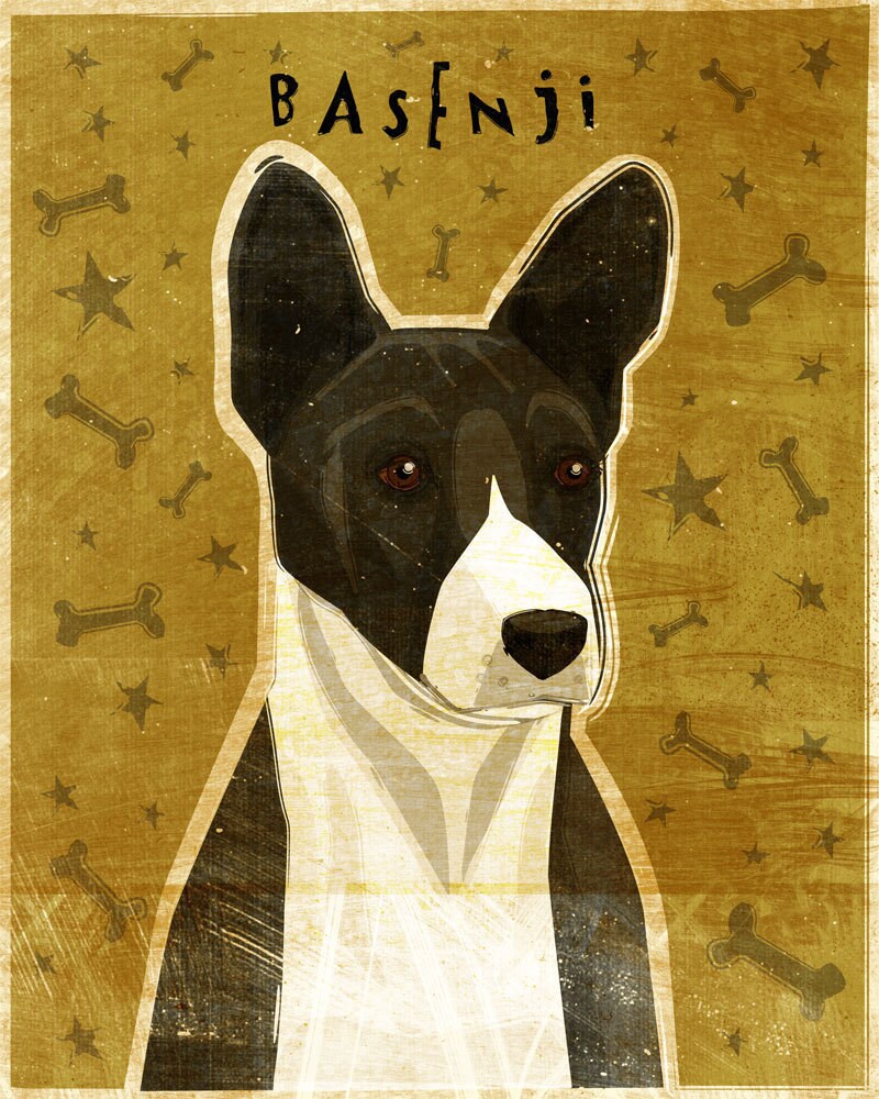 basenji x