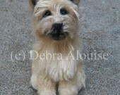 Handmade Original 3D Needle Felted Art Sculpture of Your Dog Likeness Animal Portrait Life Like by California Artist Debra Alouise