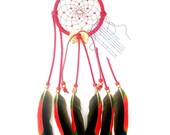 Red Dream Catcher, Amazon Parrot Feathers