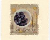 Fine Art Photography Inkjet Image Transfer Bowl Of Blueberries Carte Postale 8x8 Photo Modern Wall Decor, Office Decor