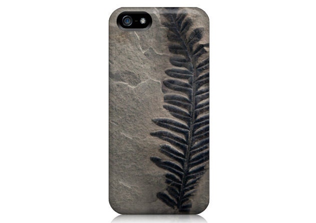 iPhone 5 Case - Fossil Photograph, Nature Photography, Father's Day, Modern, Minimal, Brown, Masculine, For Him Men