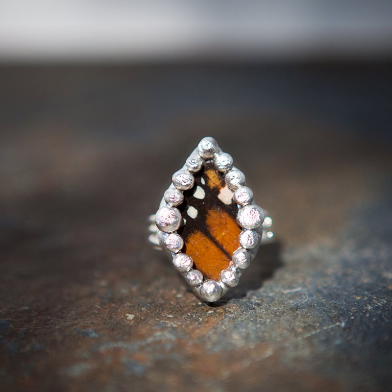 Majestic Monarch- Genuine Monarch Butterfly Wing Ring