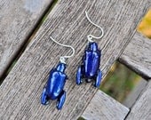 Floating Real Blue Frog Beetle Earrings similar to Moonrise Kingdom