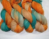 Superwash Sport yarn "Sublime" base - colorway Destin   (100 grams 274 yards)