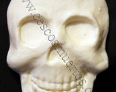 Paint it yourself URETHANE skull casting.