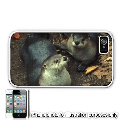 Otters Photo iPhone 4 4S Case Cover Skin Hard Shell Back