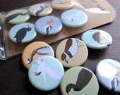 6-Pack of Shore Bird Pinback Buttons (series 5)--Bird Watcher Gift