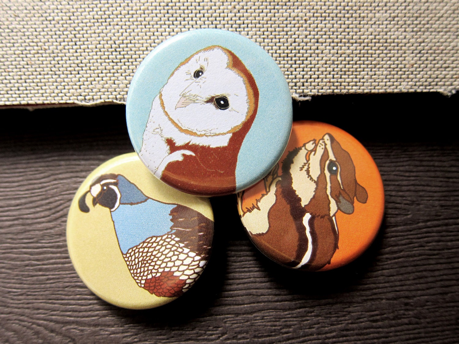 3  for the price of 2--Bird/Animal Pins--Choose from 30 Colorful Designs--1.25"