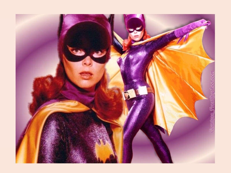 Vintage Batgirl Costume