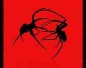 50% OFF SALE- Animal Photograph, Gothic Graphic Art, Spiders, Dark Red and Black 5x5 Fine Art Photography Sixteen