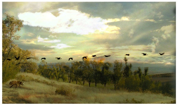 Autumn Landscape Photography Collage Original Fine Art Photograph