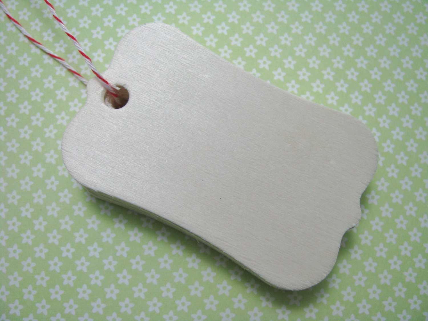 Unfinished Wooden Tag Set of 8