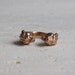 Rosy Panthers Ring
