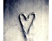 Candy Cane Heart Photograph, 8x8 Print, Still Life Photography, Food Photography, Black and White Photo