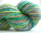 Bird of Paradise - Superwash Handspun Yarn 120 yards