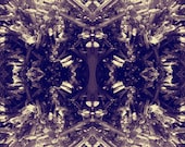Mineral Photograph 8x10 psychedelic kaleidoscope trippy stibnite silver amethyst spikey wall art decor cream