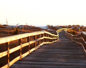 Follow the Sun, photograph