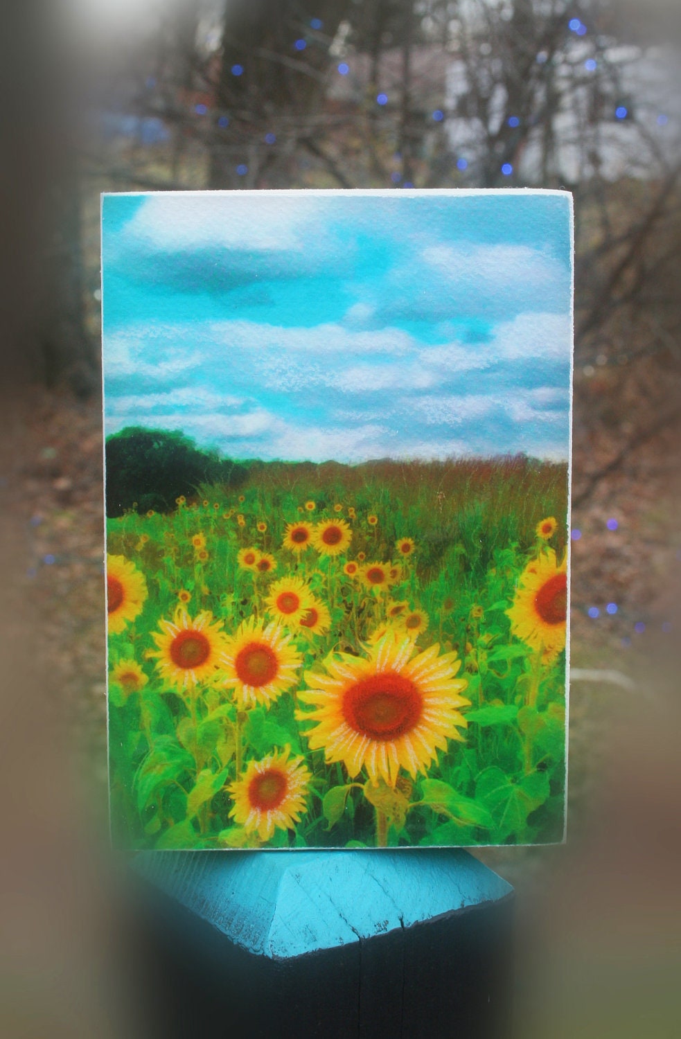 Clouds today, 5x7, Original, wood mounted, Fine Art photograph, Sunflowers, summer decor, home decor, clouds, blue sky, nature