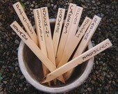 Wooden Garden Markers Garden Stakes Pack of 30