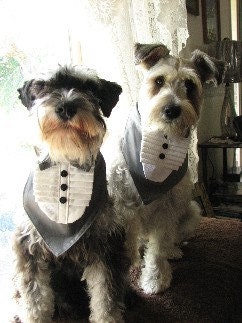 TUXEDO BANDANA - Wedding Groom- Shirt Front style -  All sizes - 9.99 - 14.99 - made to order