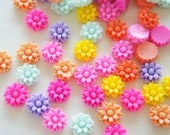 12 pcs(6 Pairs)  Matt Finish Daisy Flower Cabochon (12mm)  FL306
