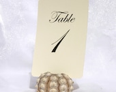 Clearance-Set of 21 Ivory Linen  4 x 6  Table Number Cards- Table 1 thru  21