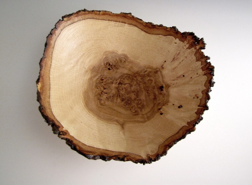 Bark Edge Oak Burl Wood Turned Bowl