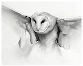 owl art drawing black and white pencil reproduction print